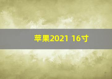 苹果2021 16寸